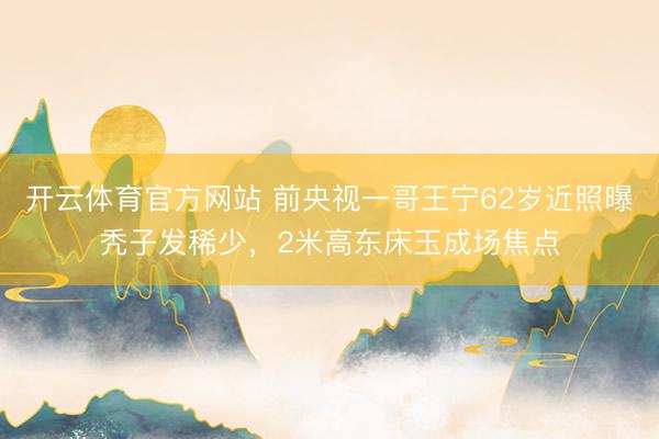 开云体育官方网站 前央视一哥王宁62岁近照曝秃子发稀少，2米高东床玉成场焦点